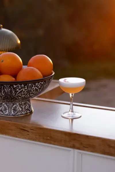 Mobile Bar Menu Scottsdale AZ