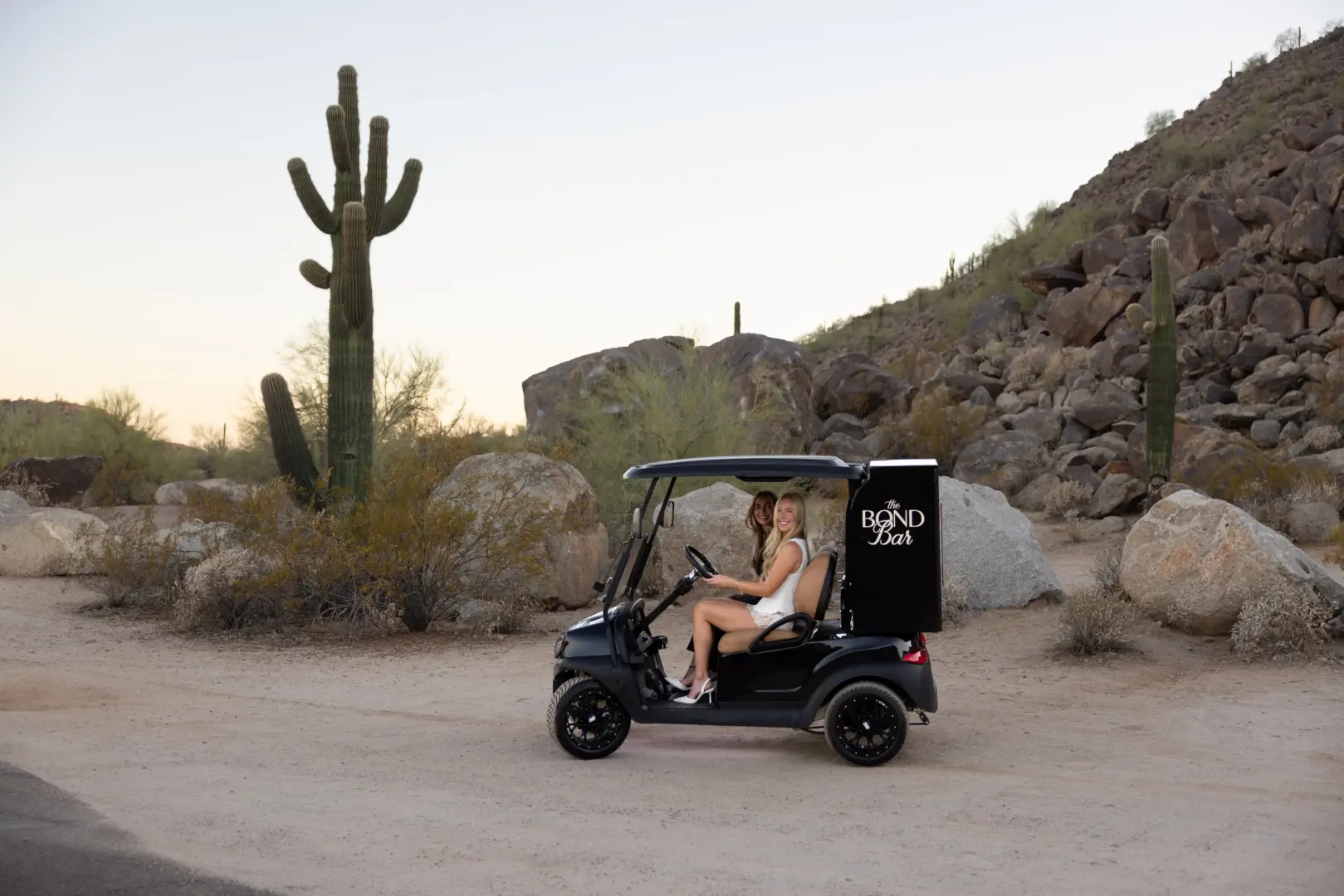 mobile-cigar-cart-humidor