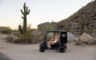 mobile-cigar-cart-humidor
