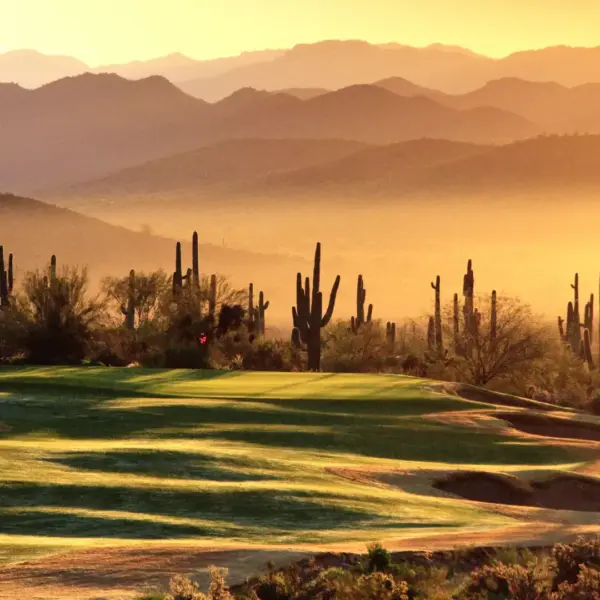 Desert golf course at sunset with green fairways, tall cacti, and layered mountains in warm golden light.